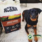 Acana hrana za pse Heritage Adult Large Breed 17kg | ePonuda.com
