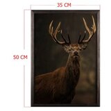 Wallity slika stag horn, 35 x 50 cm | ePonuda.com