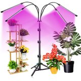 Ct led svetilka za rast rastlin s 4 glavami + stojalo 1,6m | Shoptok.si