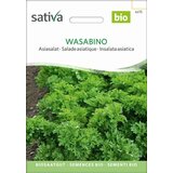 Sativa Azijska solata "Wasabino" | Shoptok.si