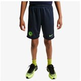 Nike Eh k nk df acd25 short Cene