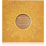 Pierre René Professional Shimmering kompaktni puder z bronz učinkom 7,5 g Cene