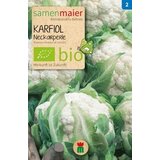 Samen Maier BIO cvetača "Neckarperle" Cene