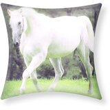 AVIZAR Komplet 2 prevlek za blazino 40x40 cm Design Horse, Večbarvno, (21747292) Cene