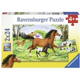 Ravensburger puzzle (slagalice) - Svet konja RA08882 Cene