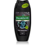 Palmolive Men Refreshing gel za tuširanje za muškarce 2 u 1 za muškarce 250 ml Cijene