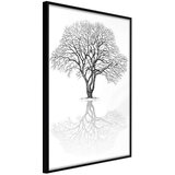  Poster - Roots or Treetop? 40x60 | shoptok.hr
