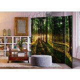  Paravan u 5 dijelova - Morning in the Forest II [Room Dividers] 225x172 | shoptok.hr