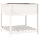  Sadilica s policom bijela 82,5x82,5x81 cm od masivne borovine | shoptok.hr