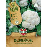 BIO cvetača - 1 pkt. Cene