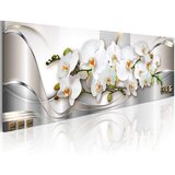  Slika - Orchids II 135x45 Cijene