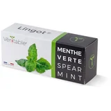Lingot® Menta - Svježina i Okus u Vašim Jelima