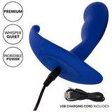 California Exotic Novelties Analni vibrator Admiral (R14801) | Shoptok.si