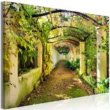  Slika - Pergola (1 Part) Wide 120x80 Cijene