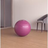 Lopta za pilates veličine s (55cm) roze cene
