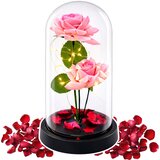Eternal Roses in Dome with LED Lighting and Rose Petals Pink 21x11cm | Shoptok.si