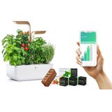  Veritable® CONNECT Moonlight Gold Kućni Vrt | shoptok.hr
