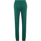 Fila Hlače 'Apparel Braives' kraljevski zelena / crvena / bijela | shoptok.hr