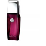 Mercedes-Benz Mercedes Benz Infinite Spicy Edt 100ml | ePonuda.com