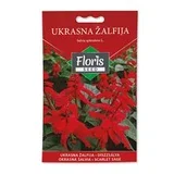 FLORIS cveće ukrasna Žalfija 0.3 g