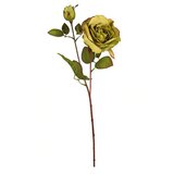  Rezano cvijeće grana ruža 73 cm zelena | shoptok.hr