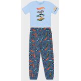 Sinsay Dvodijelna pamučna pidžama Hot Wheels | shoptok.hr