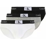 Calvin Klein Underwear Slip siva melange / crna / bijela
