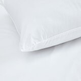 Catherine Lansfield Polnilo za blazino 74x48 cm Cotton Spring – | Shoptok.si