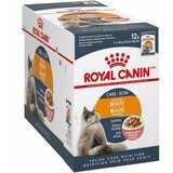 Royal Canin hrana u kesici za mačke intense beauty - sosić 12x85g Cene