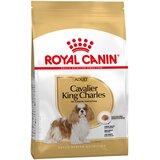 Royal Canin Cavalier King Charles Adult - 7.5 kg | shoptok.hr