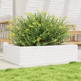 Furnova Vrtno cvetlično korito belo 90x60x23 cm trdna borovina, (21922206) | Shoptok.si