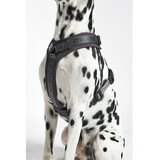 MiaCara Tamno sivi uprtač L dužina 42 cm Modena Asphalt L – | shoptok.hr