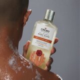 Cremo Spice & Black Vanilla Body Wash gel za tuširanje za muškarce 473 ml | shoptok.hr