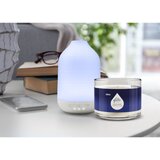 Glade Aromatherapy Moment of Zen nadomestno polnilo za aroma difuzor Lavender + Sandalwood 17,4 ml | Shoptok.si