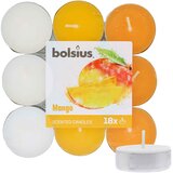 Bolsius Scented Tealights Mango 4h čajna svijeća 18 kom | shoptok.hr
