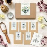 Jora Dahl Wild Bouquet "Nigella Collection" set semen Cene