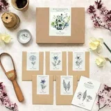 Wild Bouquet "Nigella Collection" set semen