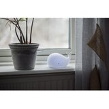 Star Trading Bela otroška nočna lučka LED Whale - | Shoptok.si