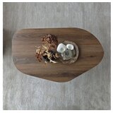 Hanah home Sto za dnevnu sobu Nova Walnut | Eponuda.com