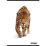 STREET Zvezek A4 Safari, črte z robom, 54 listov, sortirano, 1 kos | Shoptok.si