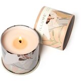 ILLUME x Bloomingville Dišeča sveča čas gorenja 50 h Coconut Milk Mango – | Shoptok.si