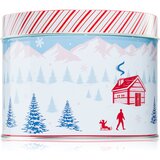 DW Home Scene & Stripes Peppermint Bark mirisna svijeća 833 g u