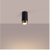 Nice Lamps Črna/v zlati barvi stropna svetilka Crown – | Shoptok.si