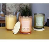  Mirisna sveća LEMON LIME 230g | Eponuda.com