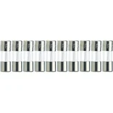 515.317 -Mini osigurač 5x15mm, 250V, 1A, spor-T, 10 komada
