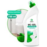 Grass Wc Gelacid cleaning 750ml (sredstvo za održavanje sanitarija) Cene