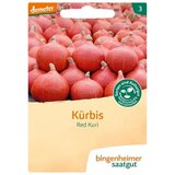 Bingenheimer Saatgut buča Hokkaido "Red Kuri" Cene