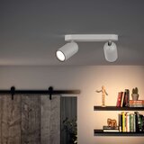 Philips LED RGBW prigušiva spot svetiljka PONGEE 2xGU10/4,8W/230V bela + daljinski upravljač | Eponuda.com
