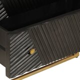  Ladičar crni 55 x 30 x 76 cm od masivnog drva manga i željeza | shoptok.hr