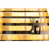 Teatro Fragranze Oro aroma difuzer s punjenjem 500 ml | shoptok.hr